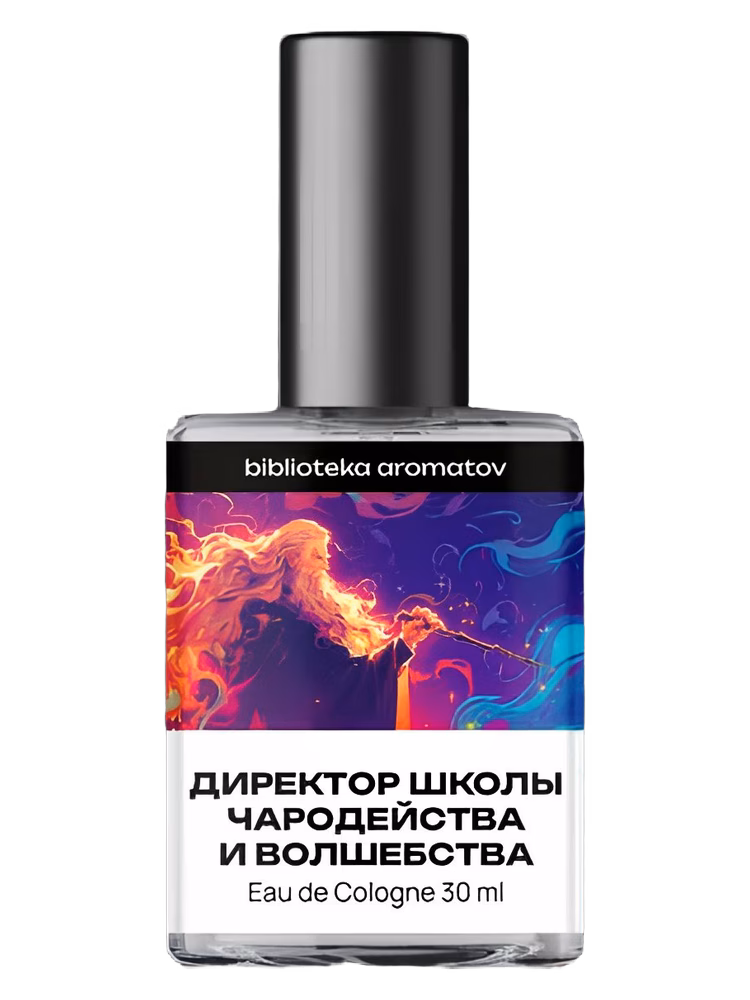 biblioteka aromatov Директор Школы чародейства и волшебства (Headmaster of The School of Witchcraft and Wizardry)