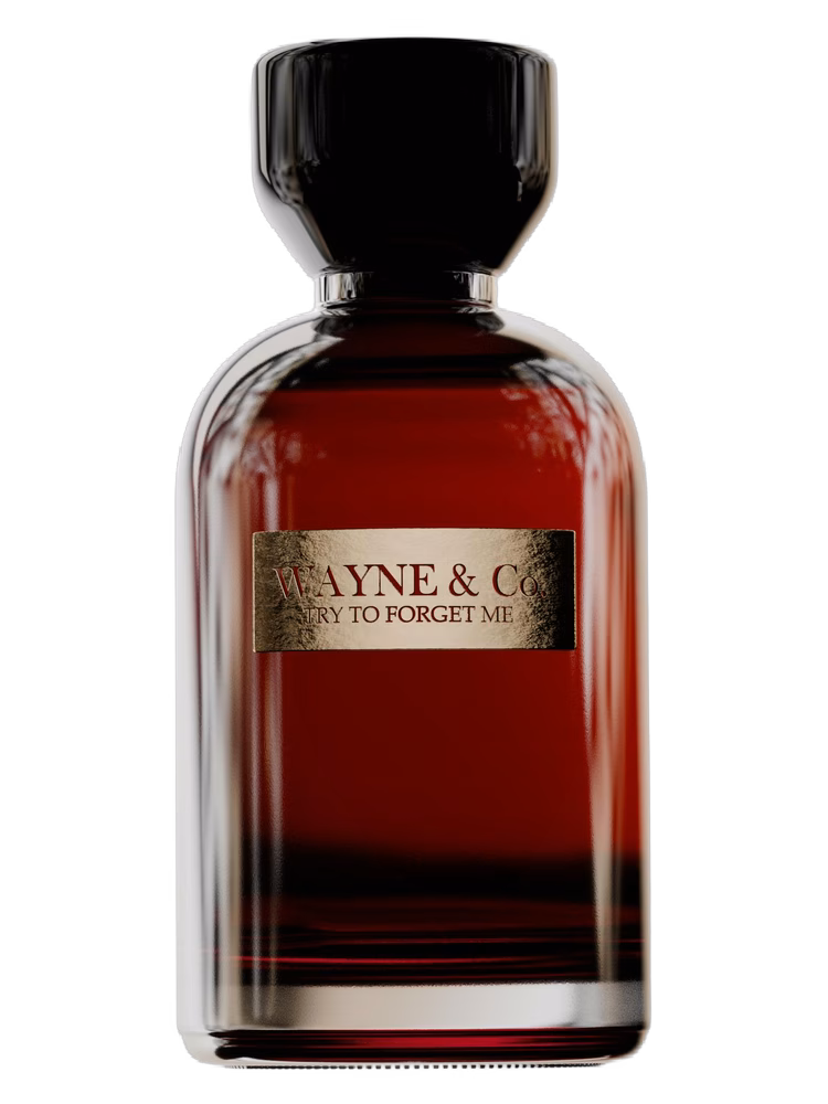 Wayne & Co Try to Forget Me
