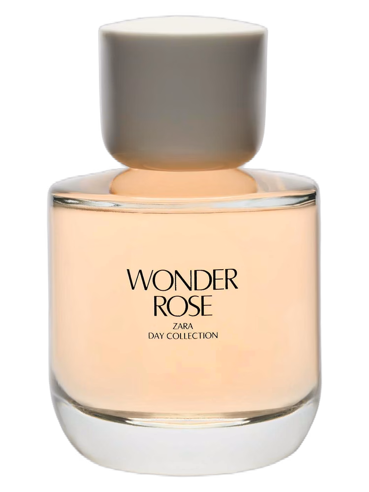 Zara Wonder Rose