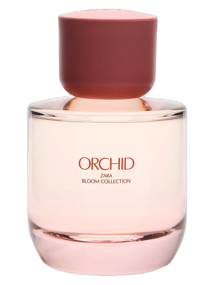 Zara Orchid
