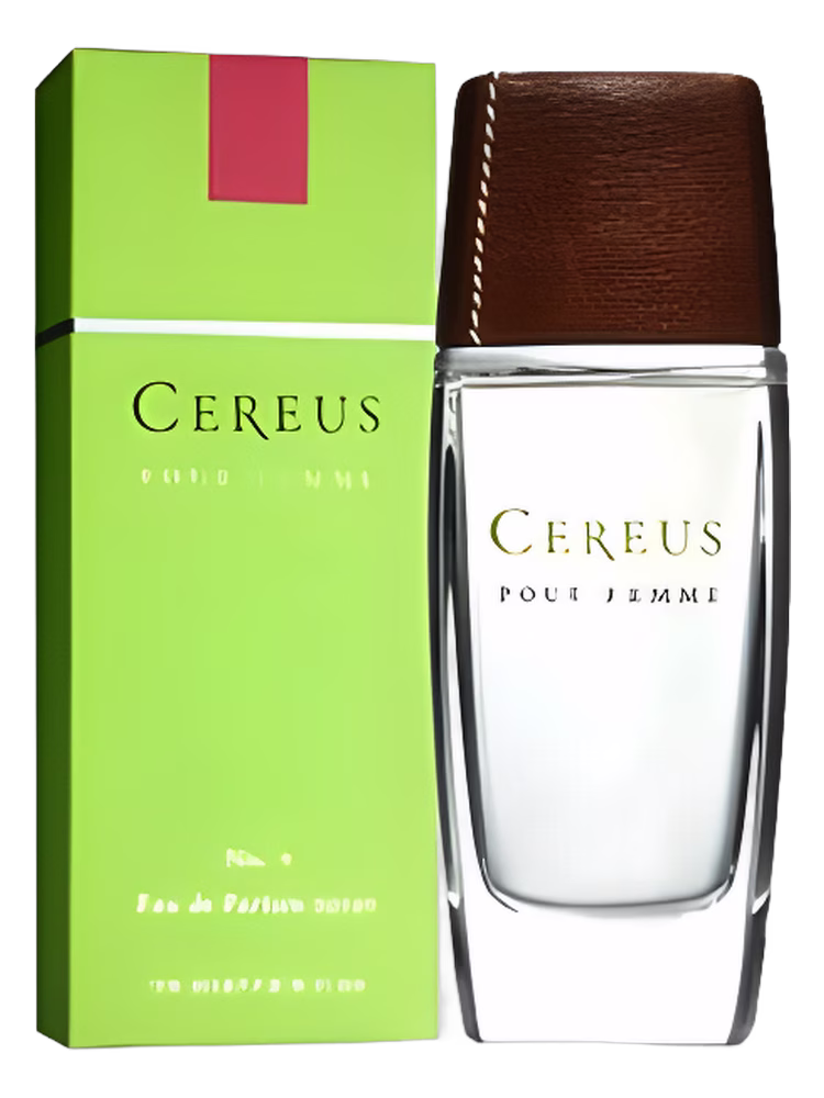 Cereus Cereus No.9