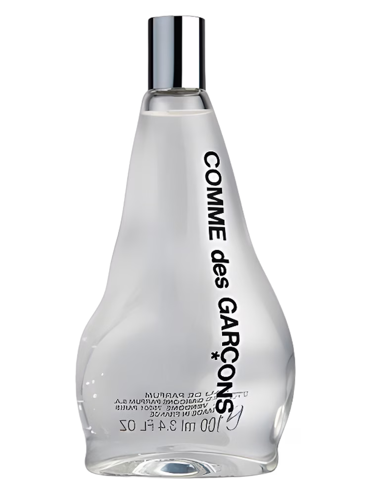 Comme des Garcons Comme des Garcons 2011
