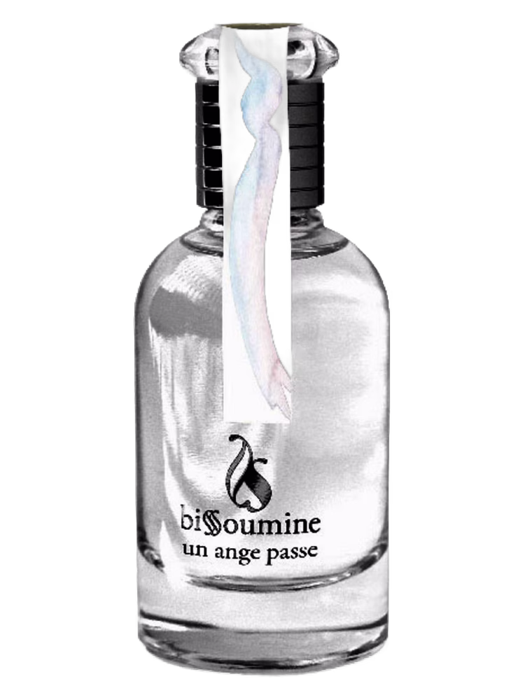 Bissoumine Un Ange Passe