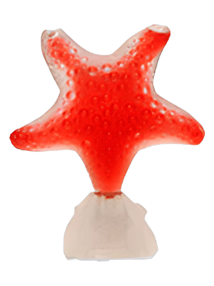 Seajewels Star Red Pasion