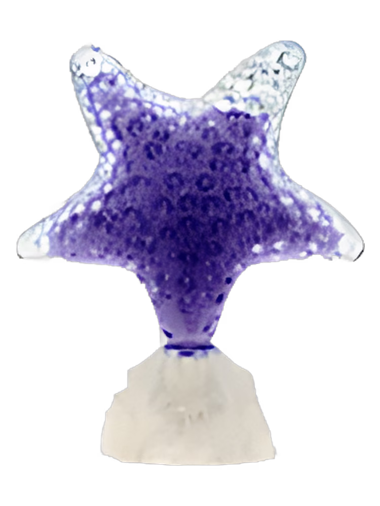 Seajewels Star Intense Violet
