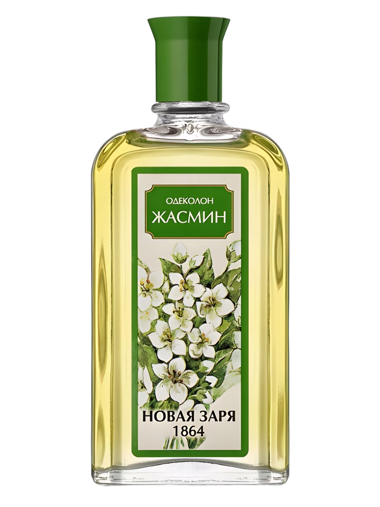Новая Заря (The New Dawn) Жасмин (Jasmine)