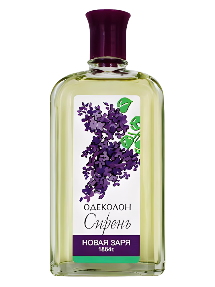 Новая Заря (The New Dawn) Сирень (Lilac)