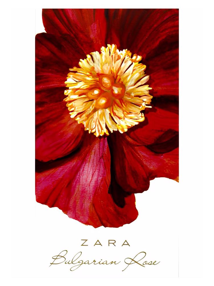 Zara Bulgarian Rose