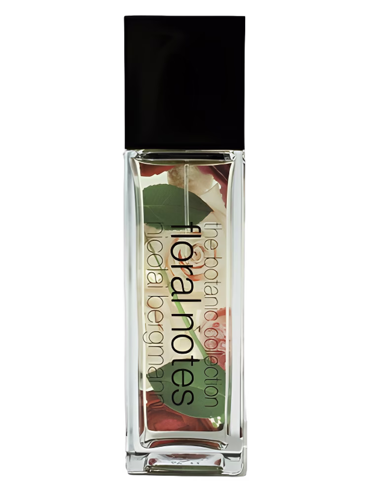 Nicolai Bergmann Sahara Rose