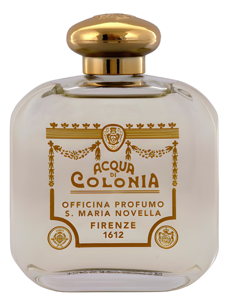 Santa Maria Novella Ottone