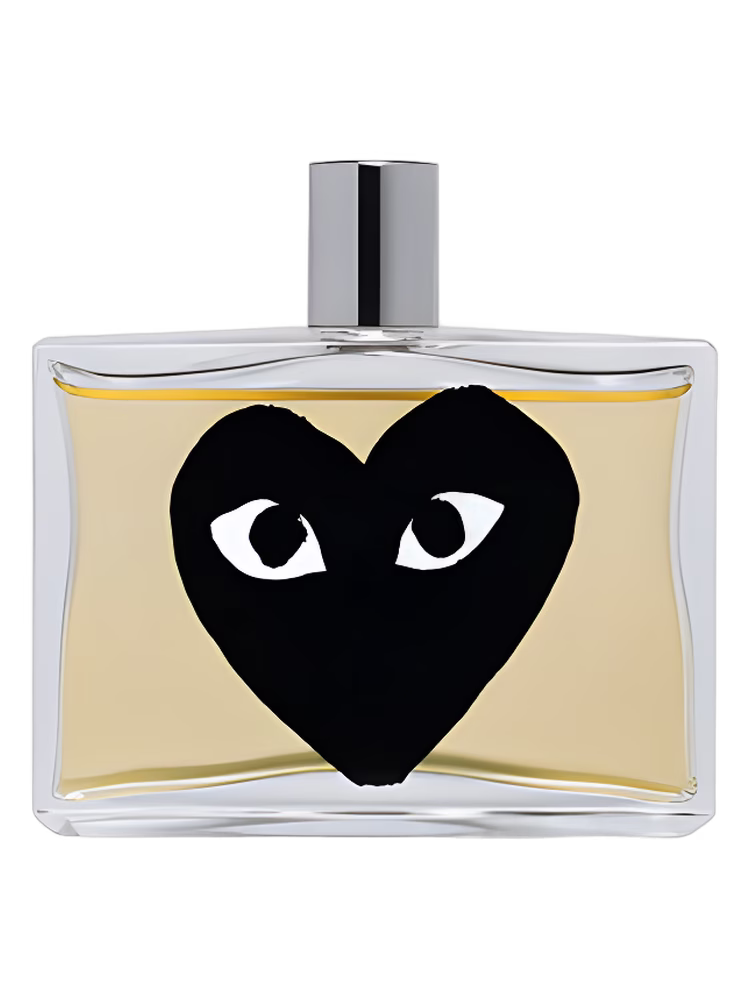 Comme des Garcons Black