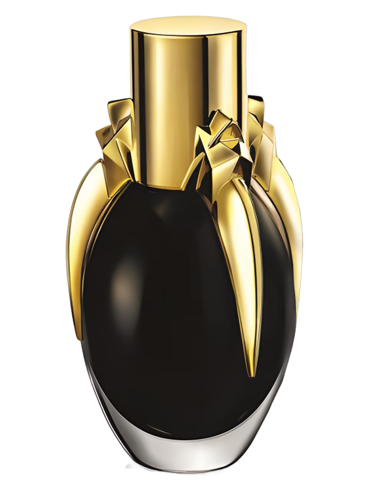 Lady Gaga Fame