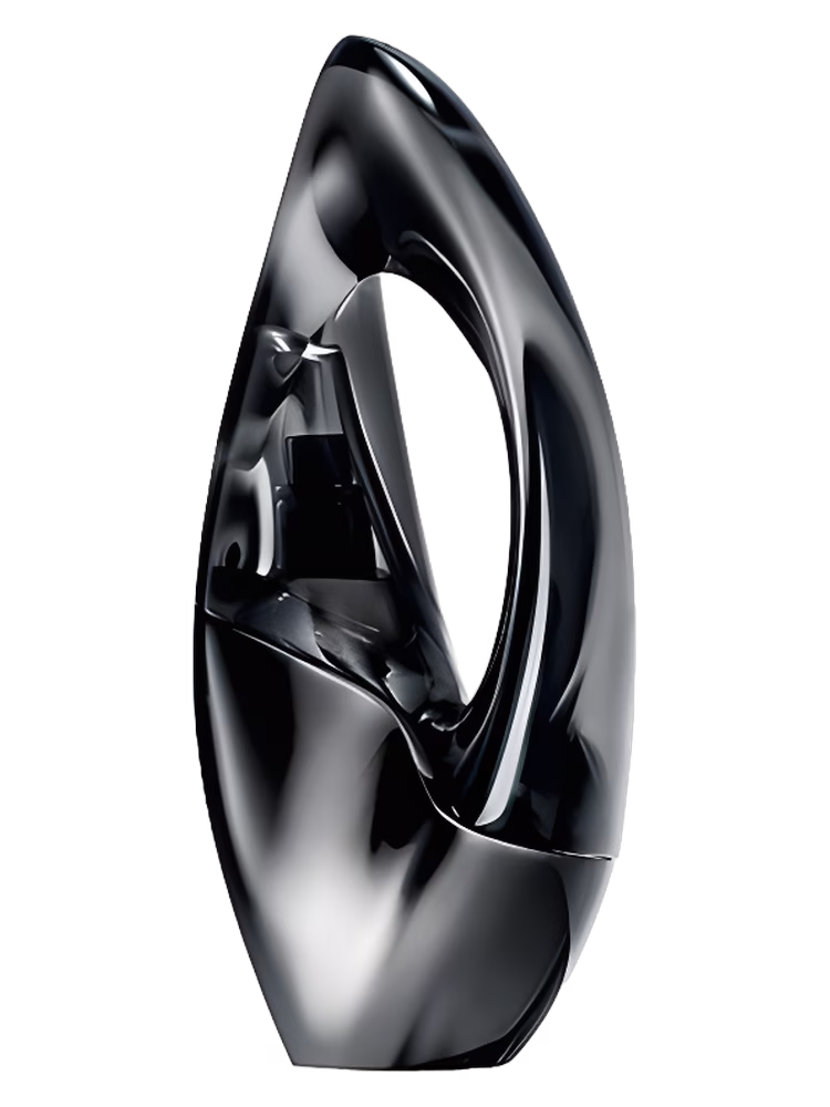 Donna Karan Woman