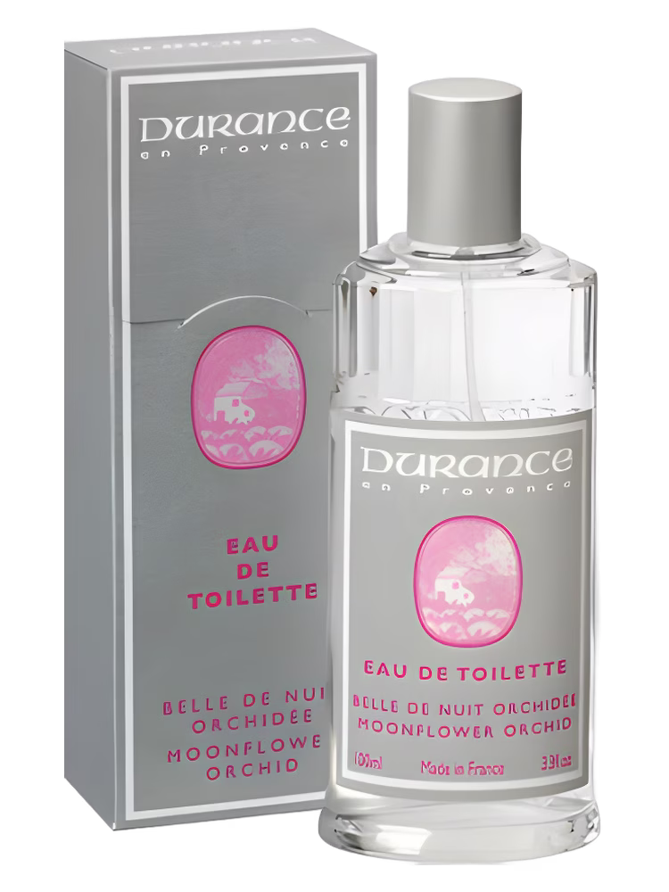 Durance en Provence Moonflower Orchid