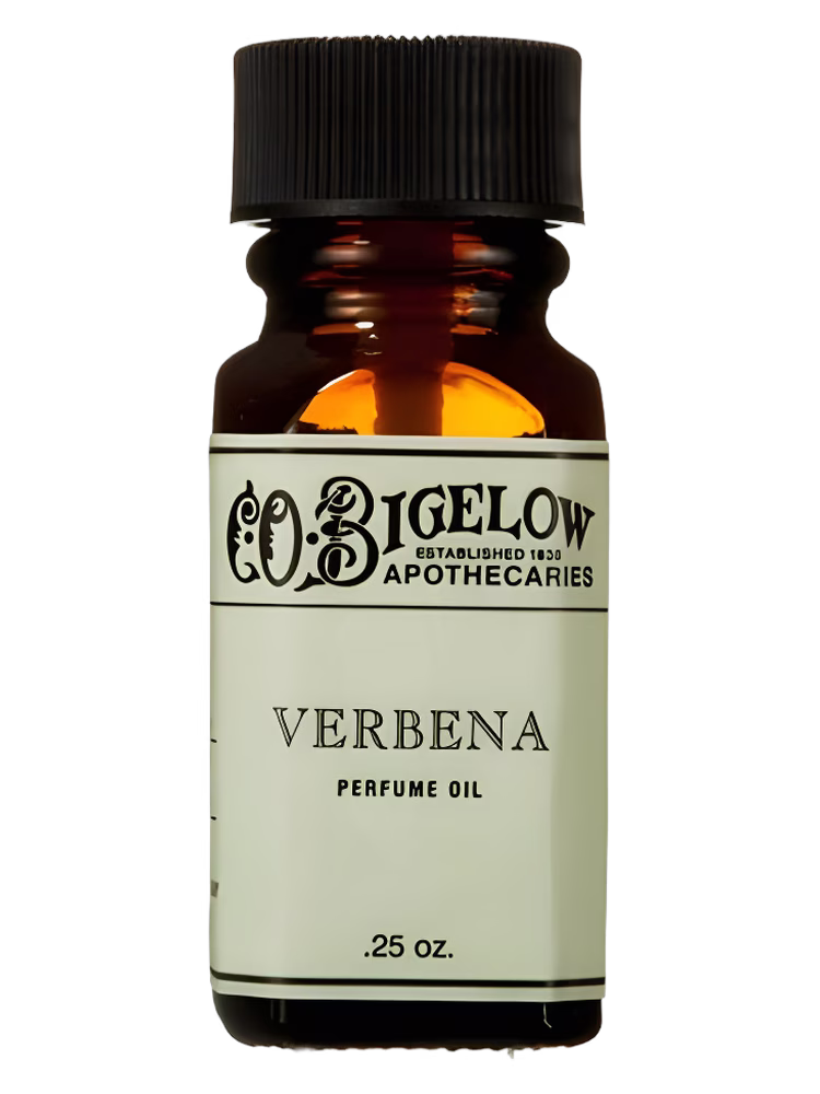 C.O.Bigelow Verbena