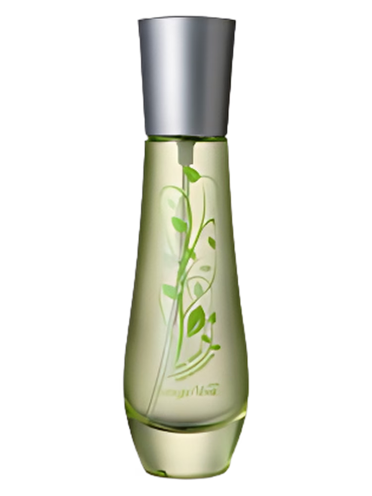 Bottega Verde The Verde