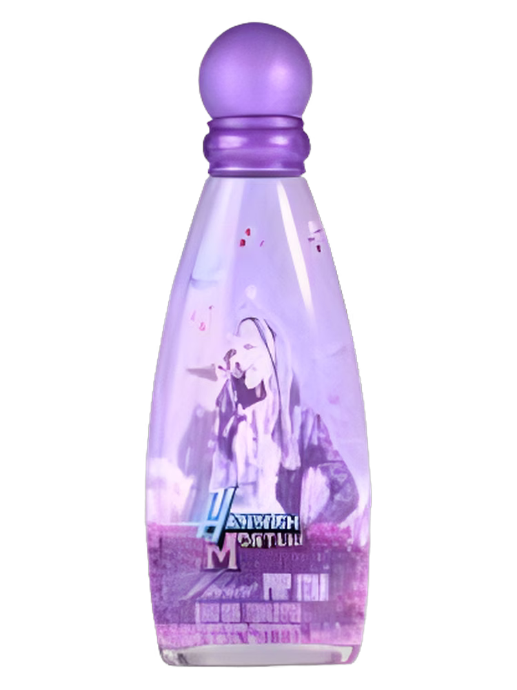 Disney Hannah Montana Secret Pop Star