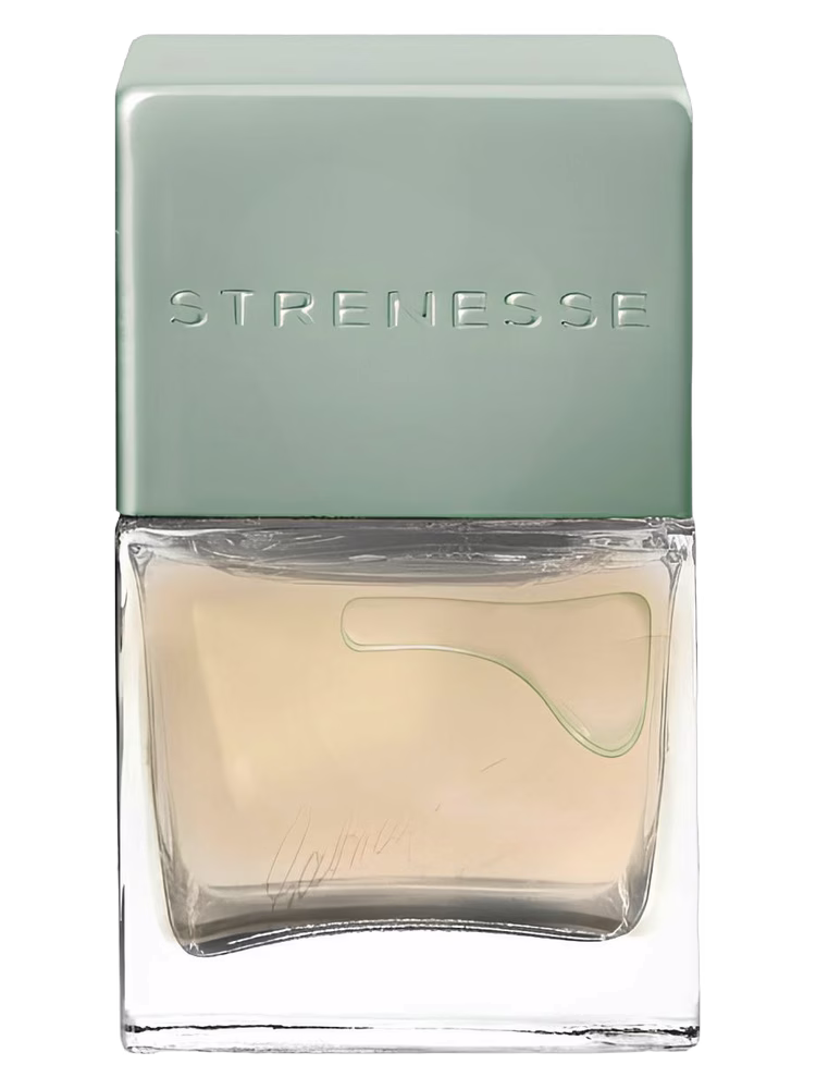 Strenesse Cashmere & Musk