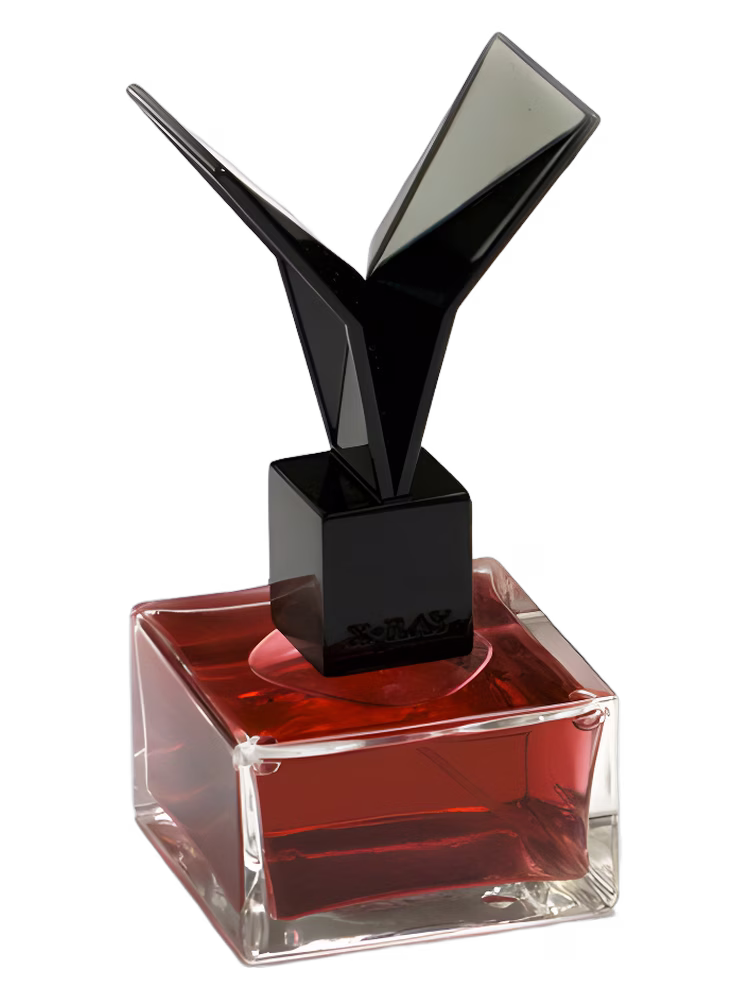 X-Ray Lacquered Rose