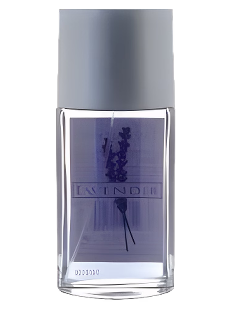 Mayfair Lavender
