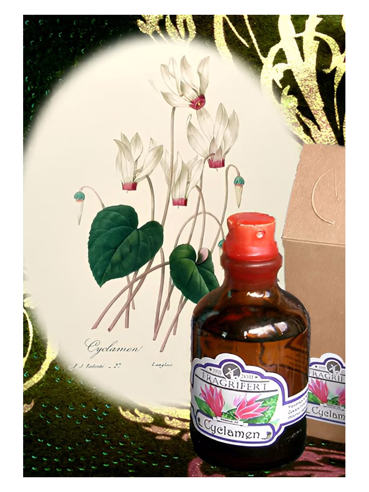 Fragrifert Parfumeur Cyclamen