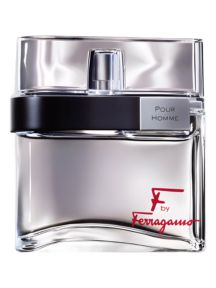 Salvatore Ferragamo F by Ferragamo Pour Homme