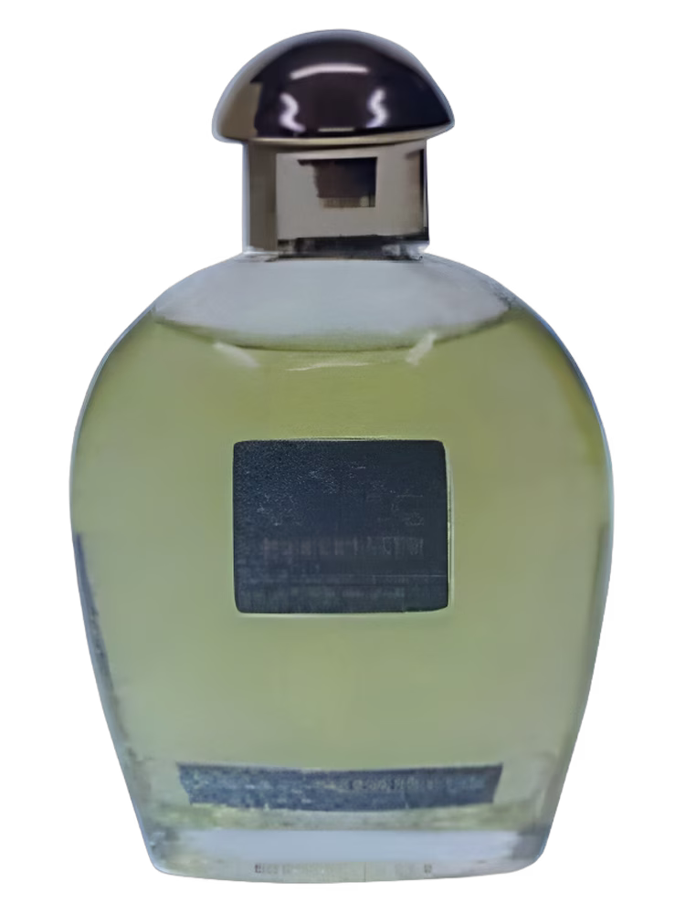 Rose & Co Manchester Old English Lavender