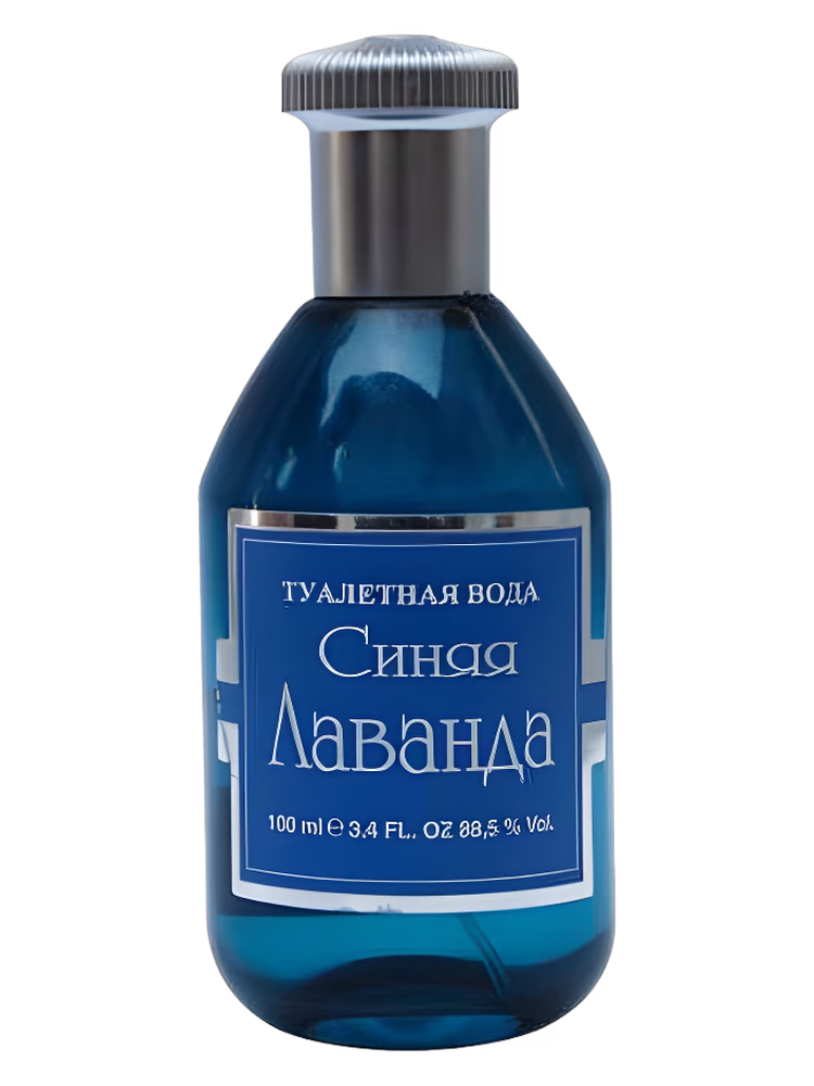 Новая Заря (The New Dawn) Синяя лаванда (Blue Lavender)