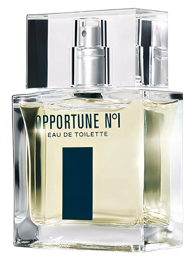 Amway Opportune No1
