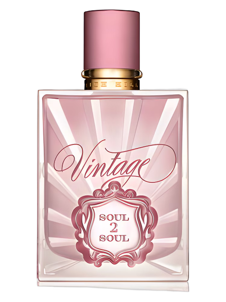 Tim McGraw Faith Hill Soul2Soul Vintage