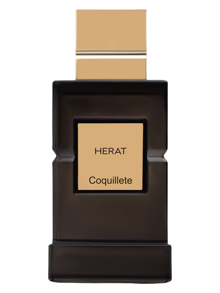 Coquillete Herat