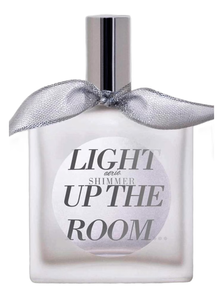 American Eagle Aerie Shimmer