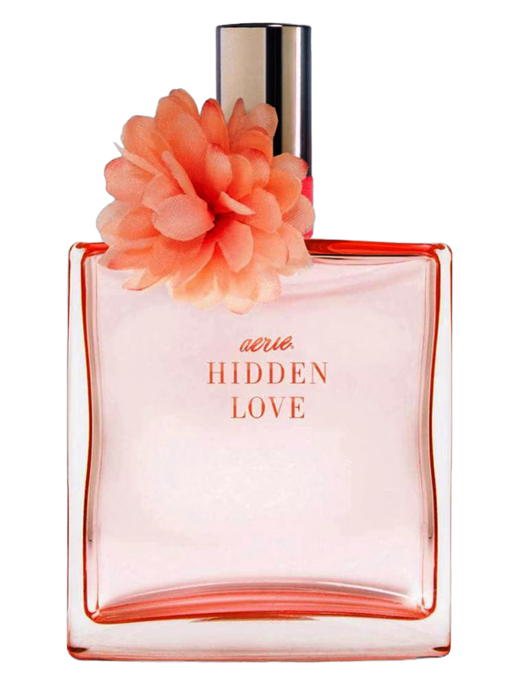 American Eagle Hidden Love
