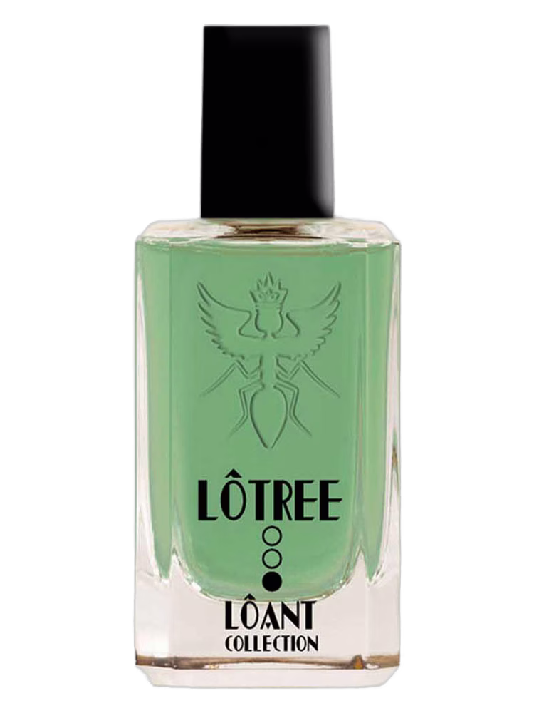 Santi Burgas LOTREE