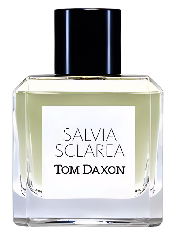 Tom Daxon Salvia Sclarea