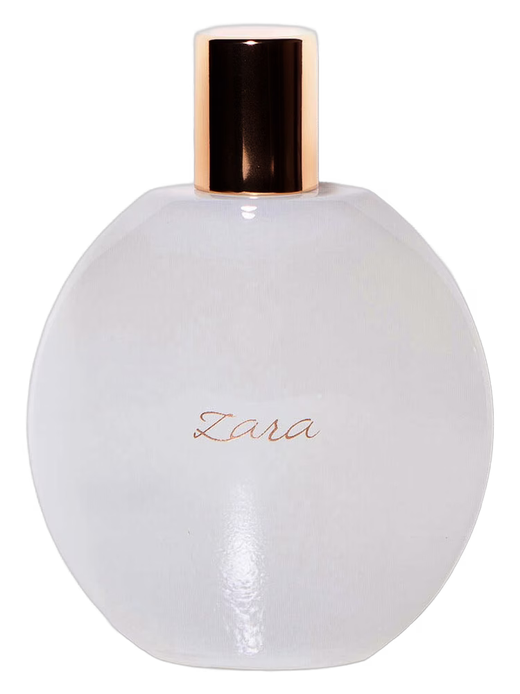 Zara Zara Femme 2013