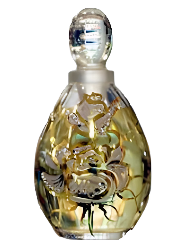 M. Micallef Elegance