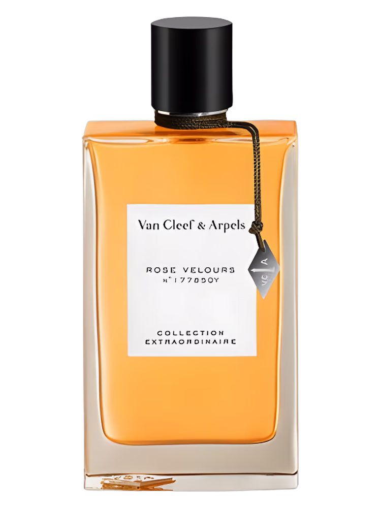 Van Cleef & Arpels Rose Velours