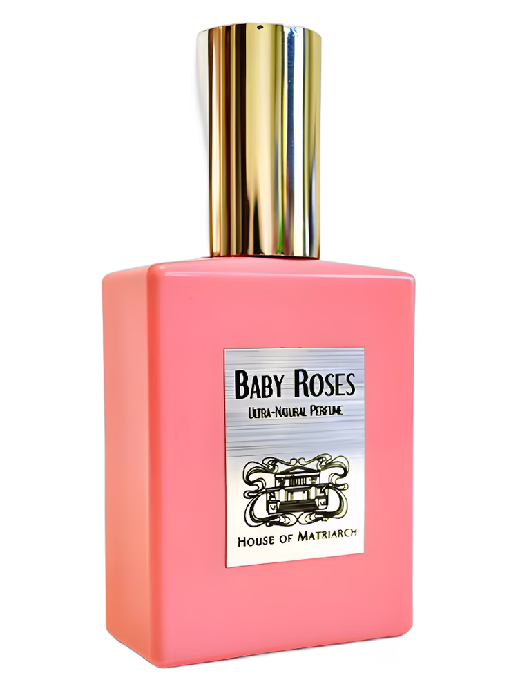House of Matriarch Baby Roses