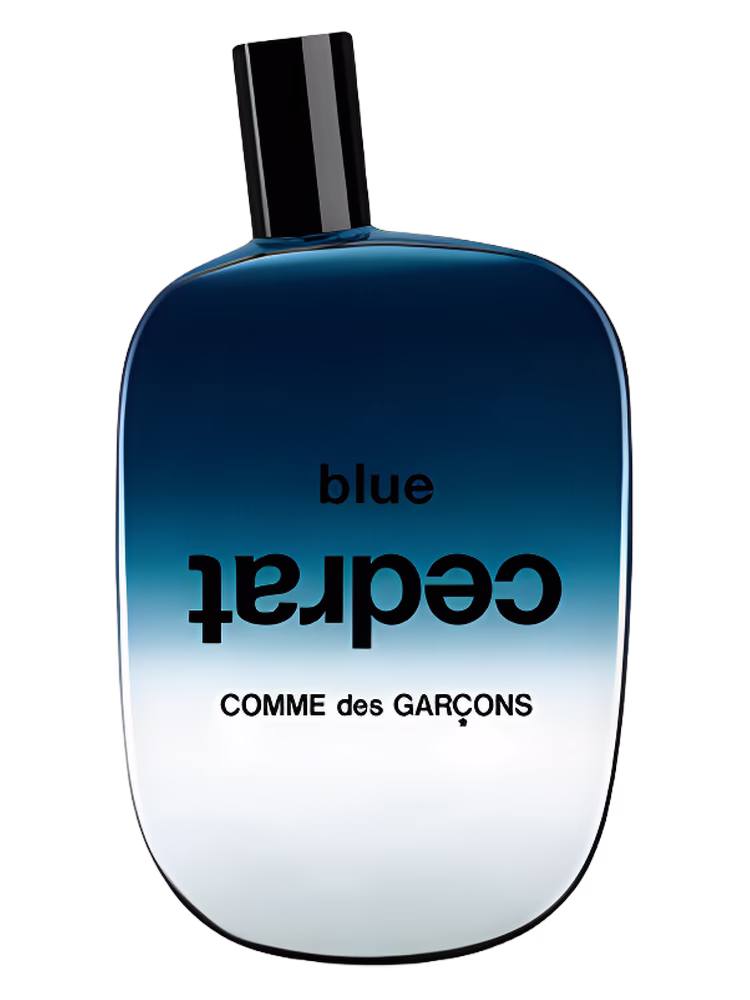 Comme des Garcons Blue Cedrat