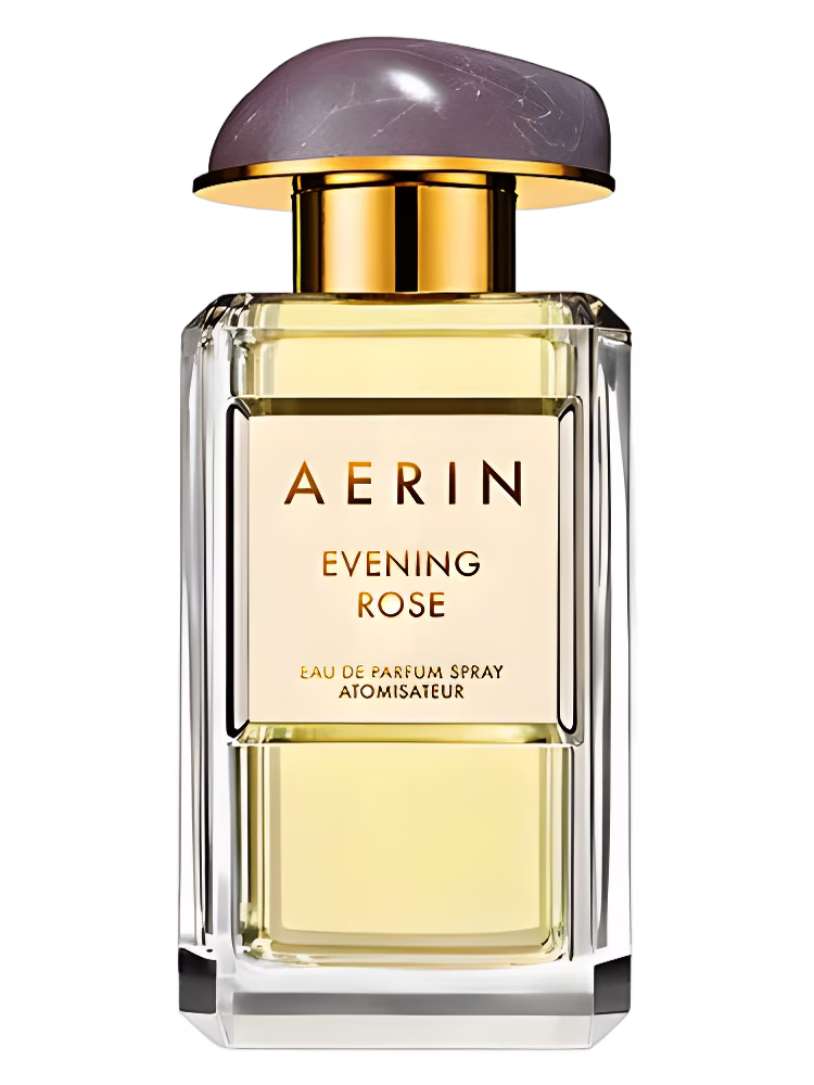 Aerin Evening Rose