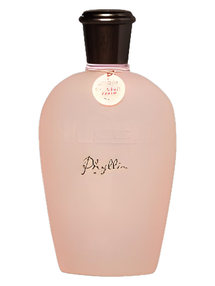 Pull & Bear Phyllis