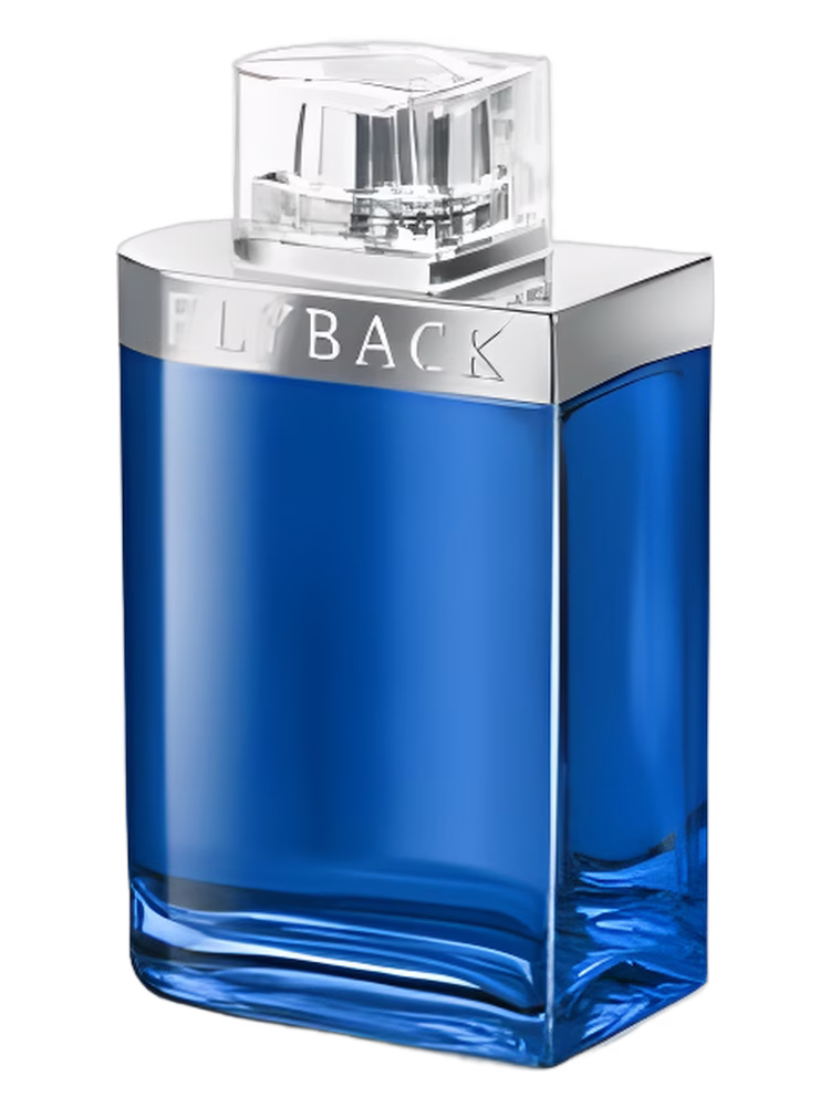 Yves de Sistelle Flyback by Night