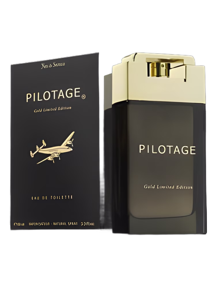Yves de Sistelle Pilotage