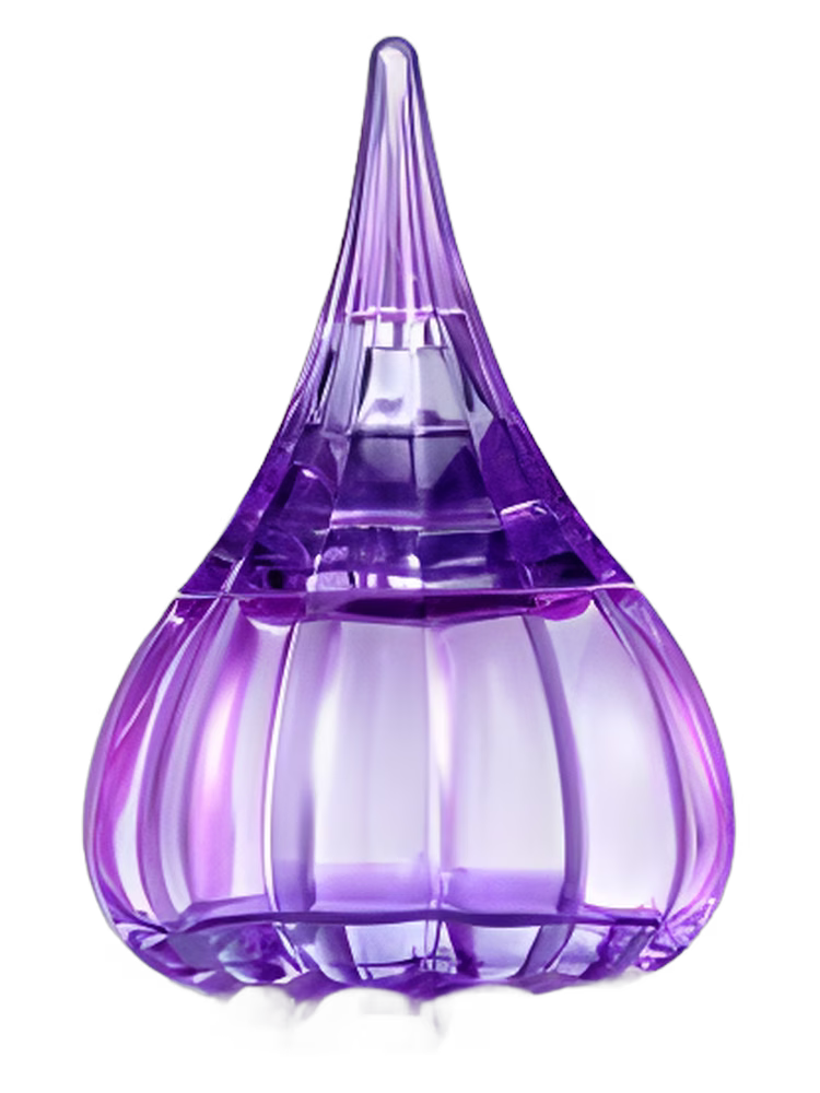 Yves de Sistelle Sheyda Purple