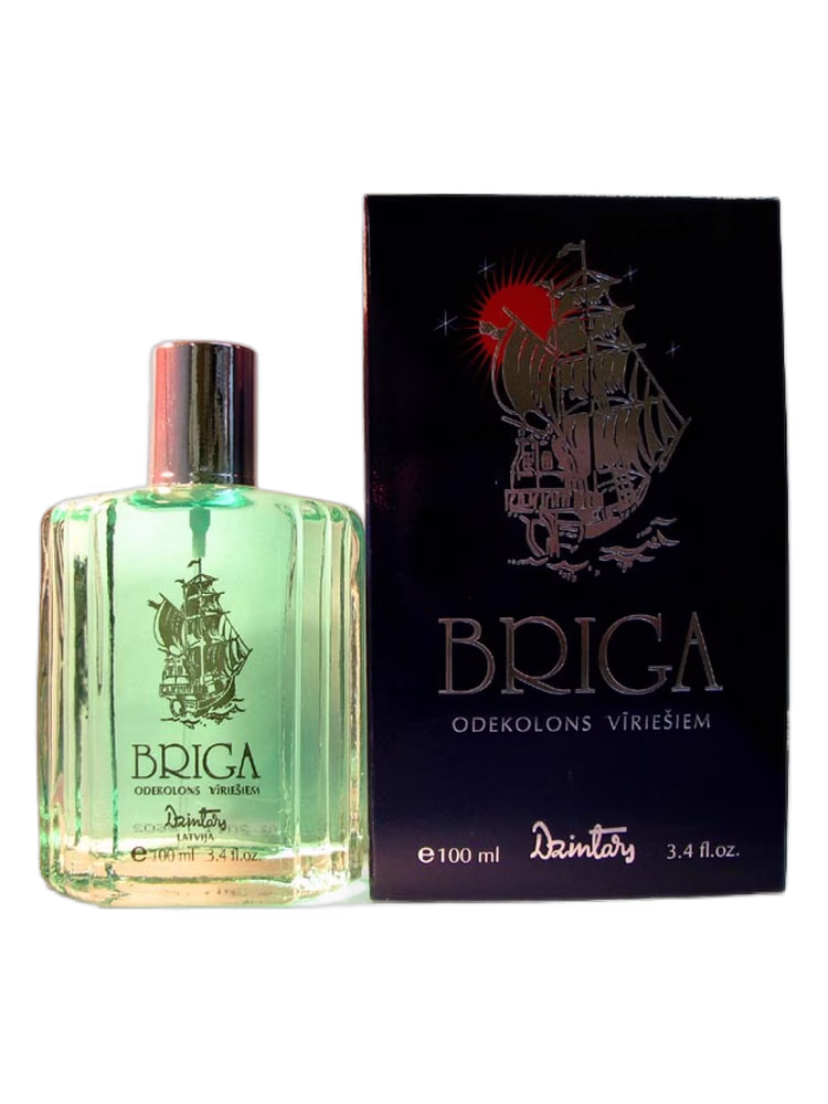 Dzintars Briga