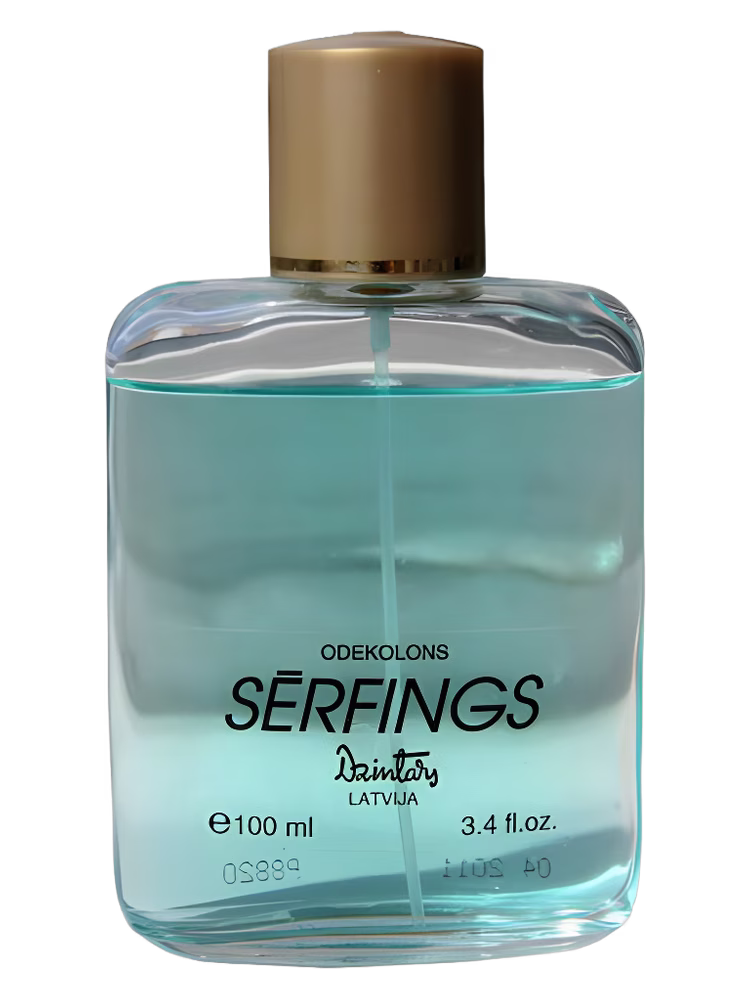Dzintars Sērfings (Surfing)