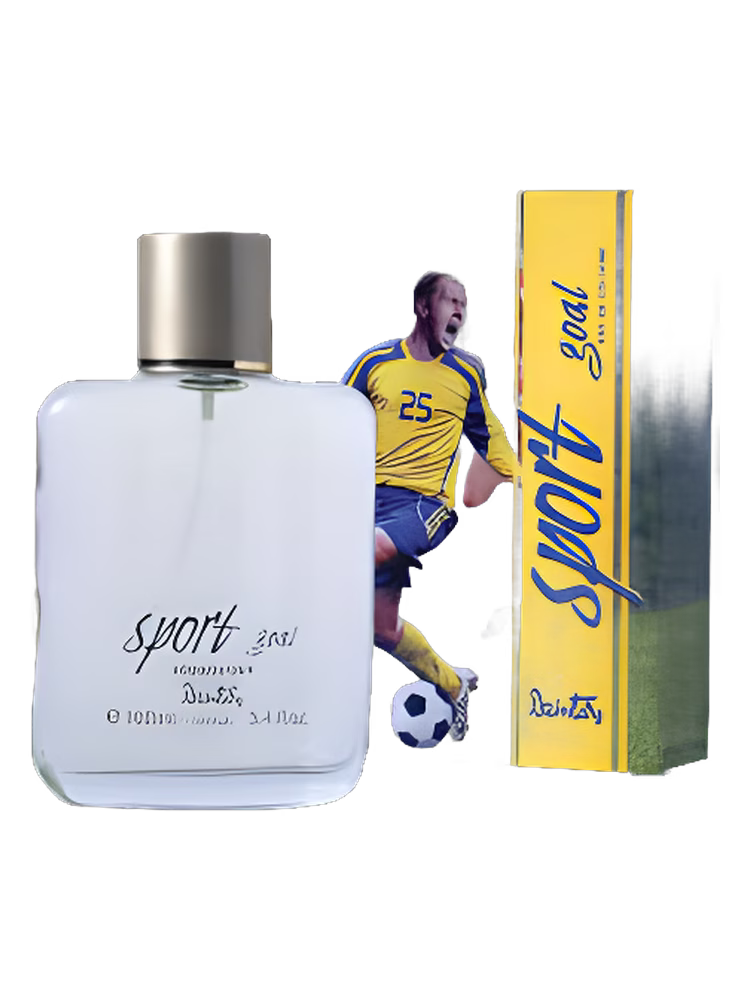 Dzintars Sport Goal
