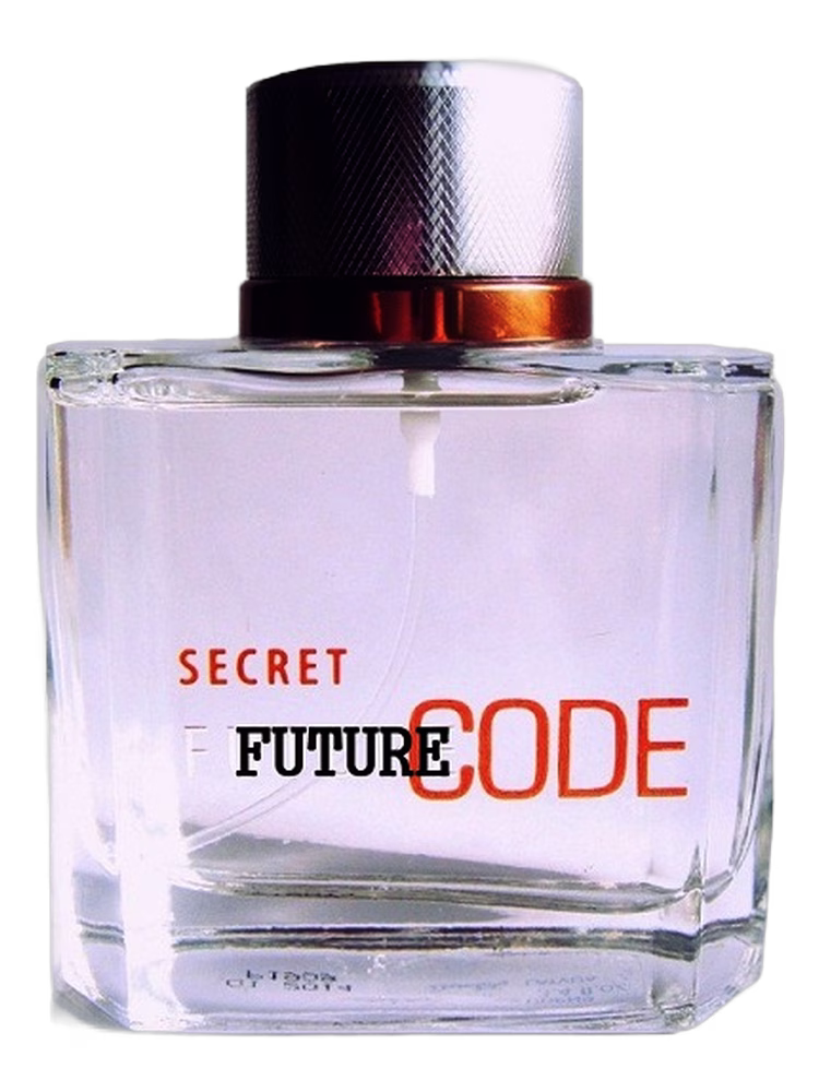 Dzintars Future Code Secret