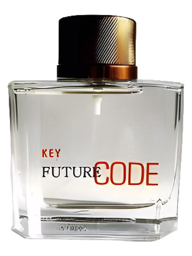 Dzintars Future Code Key
